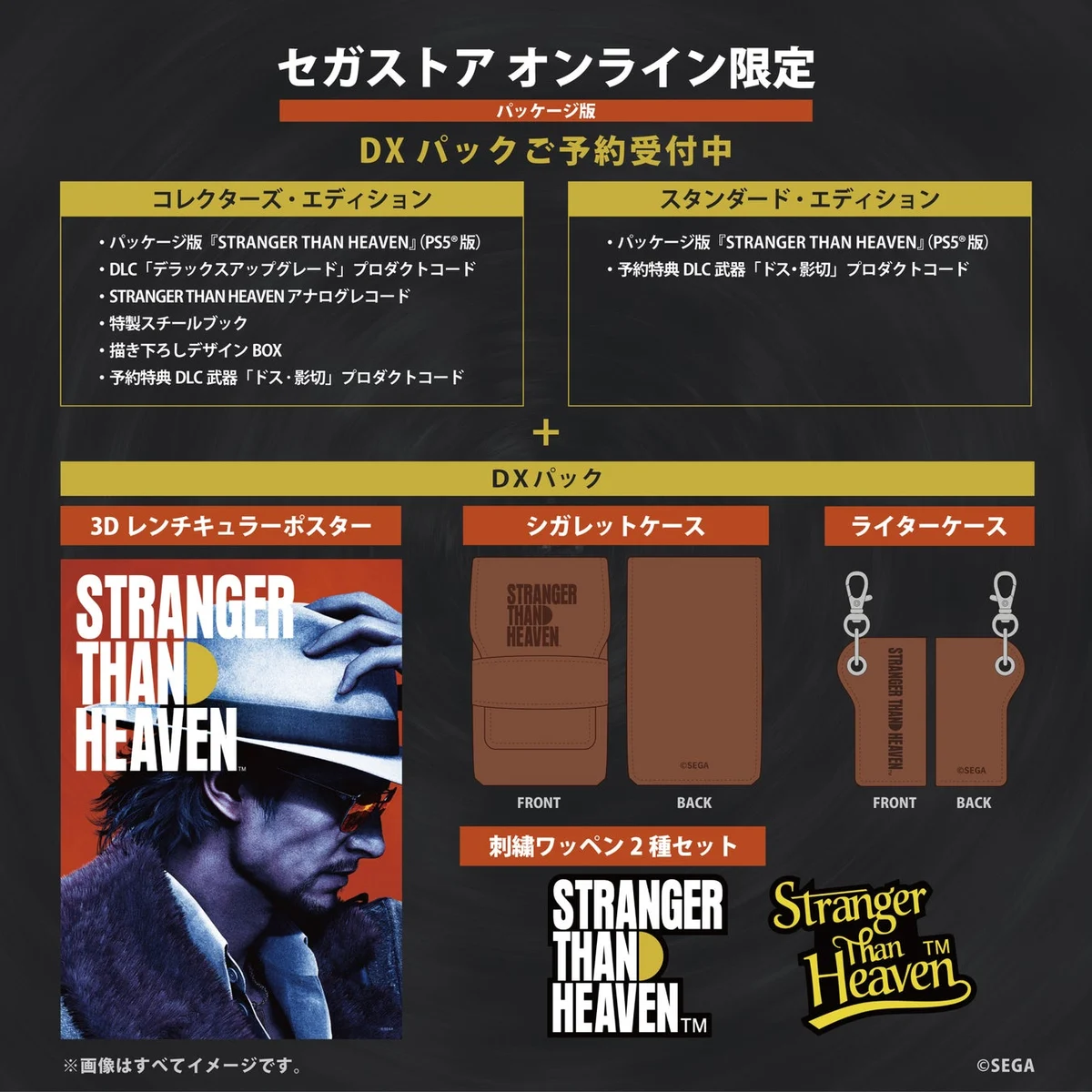 セガストア オンライン DXパックの内容見本